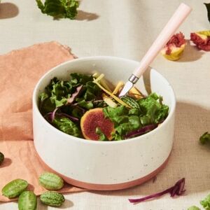 🆕 OUR PLACE Pink / Speckled White Ceramic Bowl set Of 2